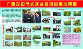 廣西農田節水技術試驗示范推廣成果與經驗總結
